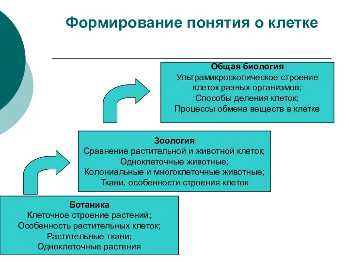 Формирование понятия о клетке Ботаника Клеточное строение растений; Особенность растительных