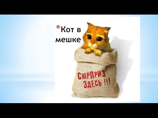 Кот в мешке