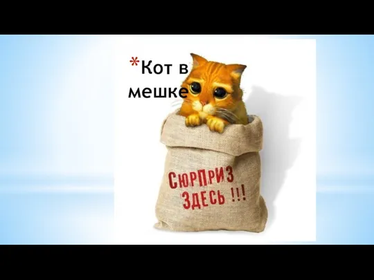 Кот в мешке