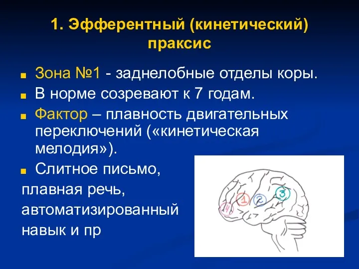 1. Эфферентный (кинетический) праксис Зона №1 - заднелобные отделы коры.