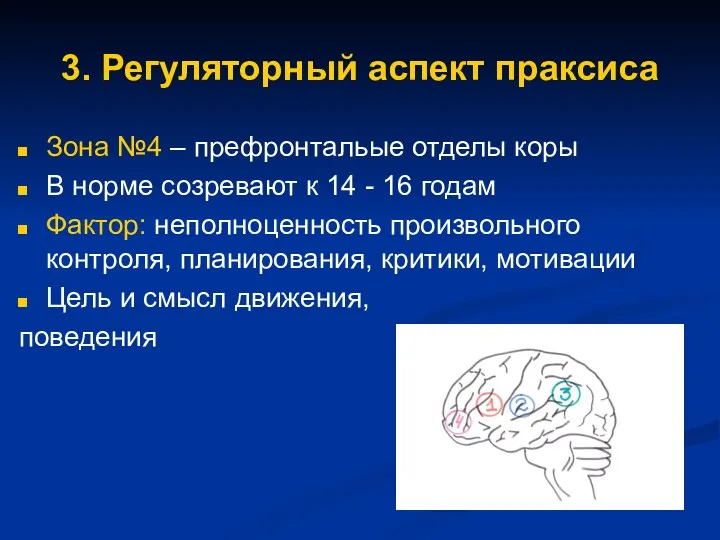 3. Регуляторный аспект праксиса Зона №4 – префронтальые отделы коры