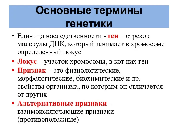 Основные термины генетики Единица наследственности - ген – отрезок молекулы