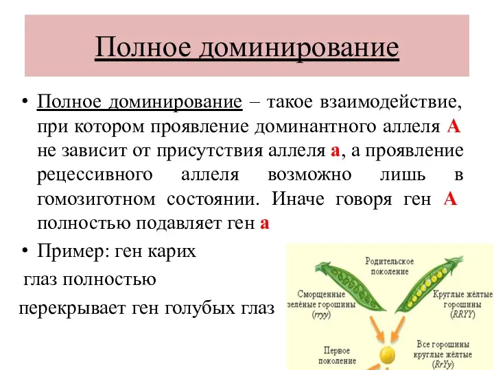 Полное доминирование Полное доминирование – такое взаимодействие, при котором проявление