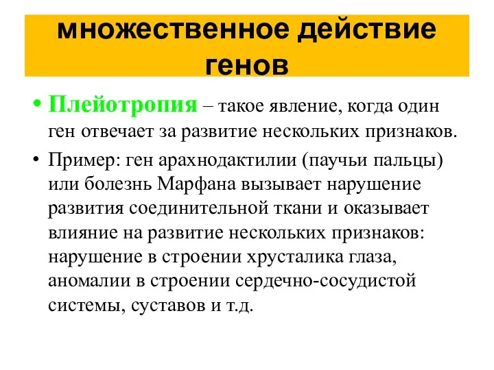 множественное действие генов Плейотропия – такое явление, когда один ген