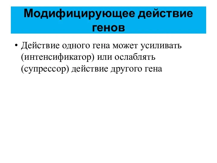 Модифицирующее действие генов Действие одного гена может усиливать (интенсификатор) или ослаблять (супрессор) действие другого гена