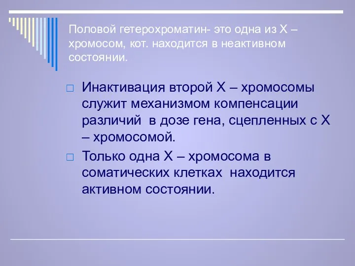 Половой гетерохроматин- это одна из Х – хромосом, кот. находится