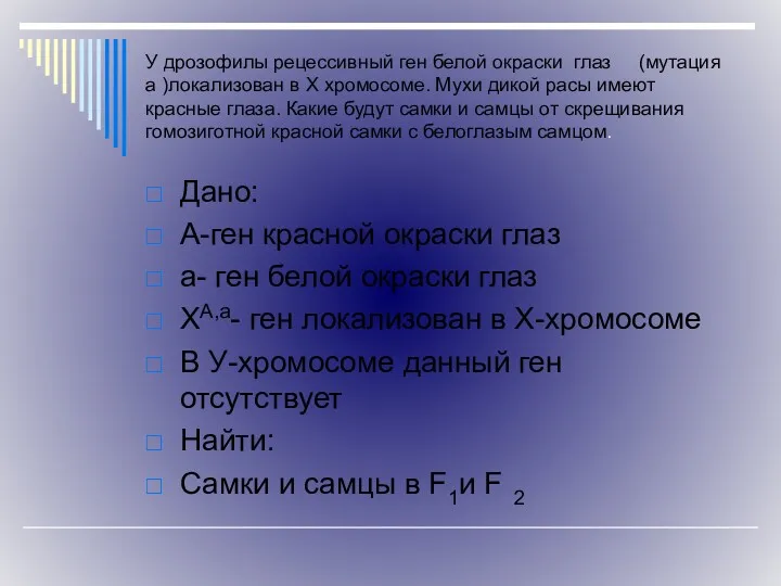 У дрозофилы рецессивный ген белой окраски глаз (мутация а )локализован