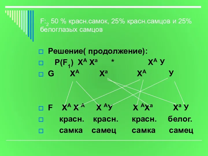 F:2 50 % красн.самок, 25% красн.самцов и 25% белоглазых самцов