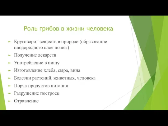 Роль грибов в жизни человека Круговорот веществ в природе (образование