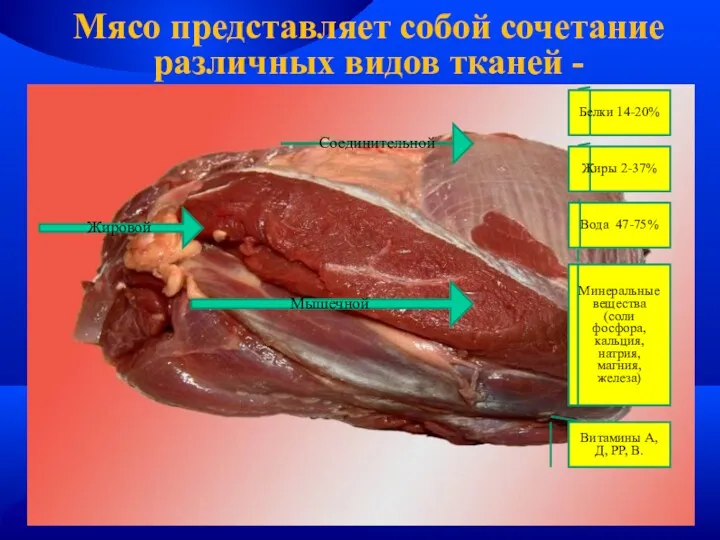 Мясо представляет собой сочетание различных видов тканей - Соединительной Жировой