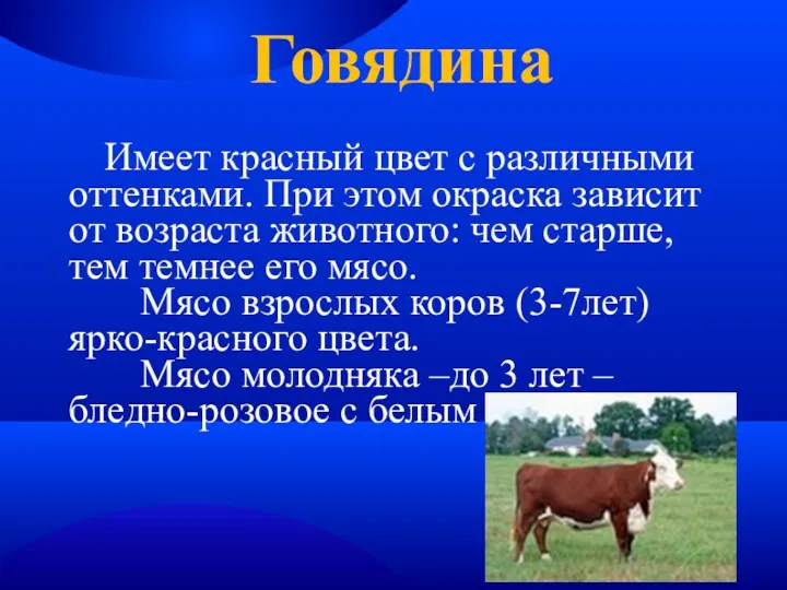 Говядина Имеет красный цвет с различными оттенками. При этом окраска