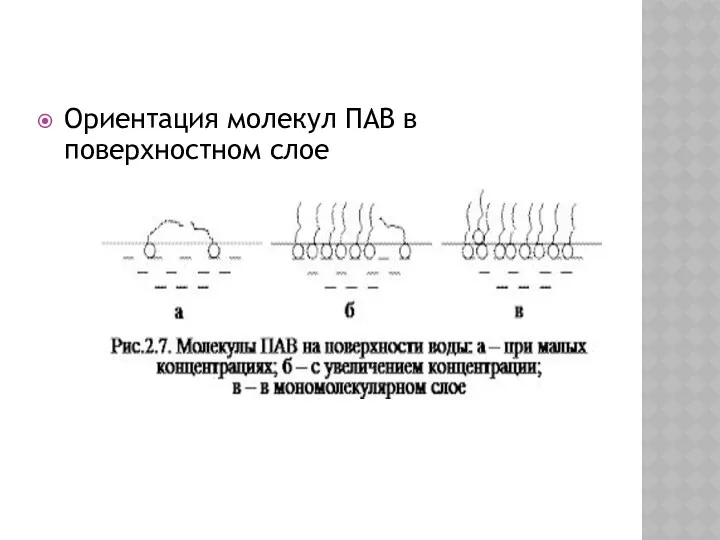 Ориентация молекул ПАВ в поверхностном слое