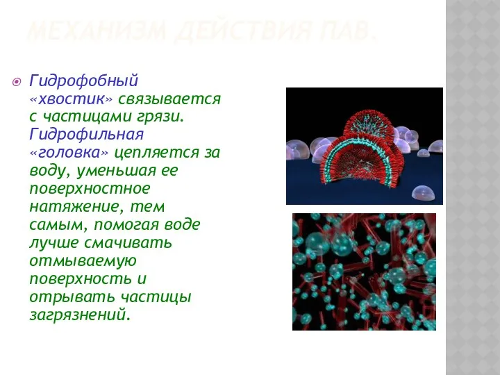 МЕХАНИЗМ ДЕЙСТВИЯ ПАВ. Гидрофобный «хвостик» связывается с частицами грязи. Гидрофильная