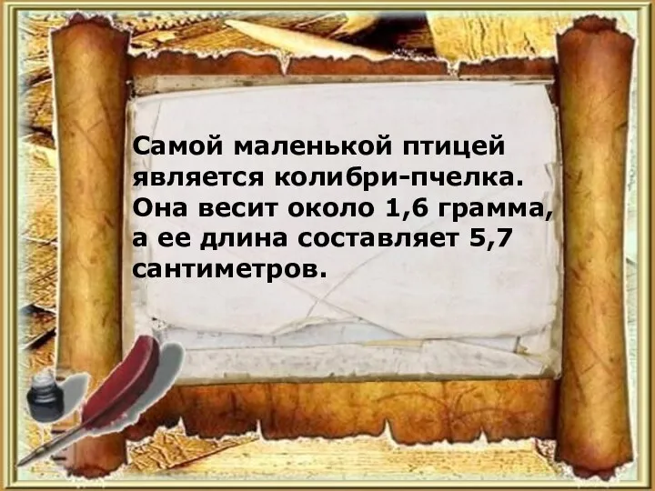 Самой маленькой птицей является колибри-пчелка. Она весит около 1,6 грамма, а ее длина составляет 5,7 сантиметров.