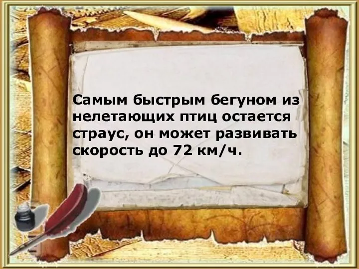 Самым быстрым бегуном из нелетающих птиц остается страус, он может развивать скорость до 72 км/ч.