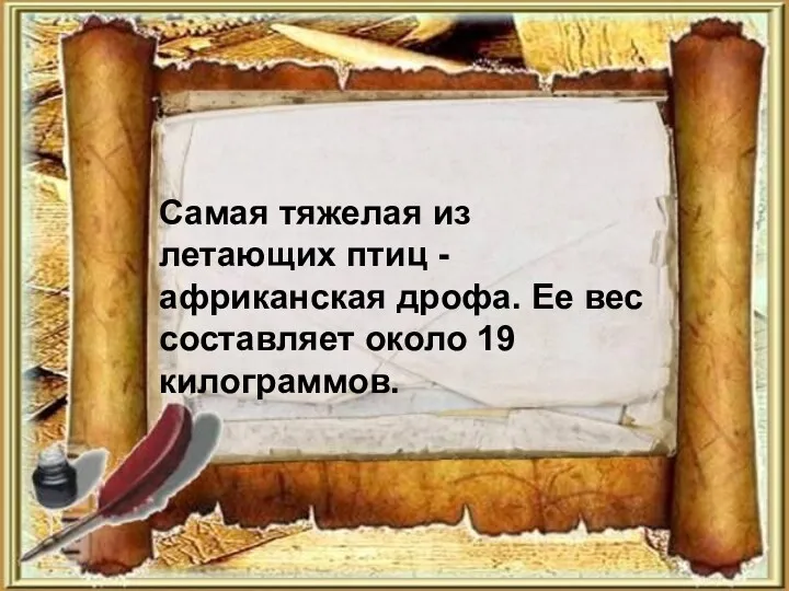 Самая тяжелая из летающих птиц - африканская дрофа. Ее вес составляет около 19 килограммов.