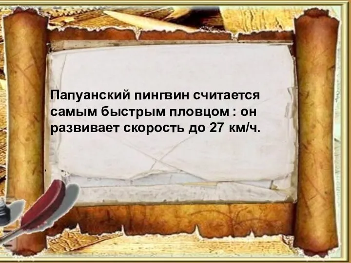 Папуанский пингвин считается самым быстрым пловцом : он развивает скорость до 27 км/ч. ,