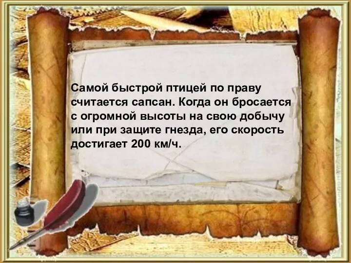 Самой быстрой птицей по праву считается сапсан. Когда он бросается