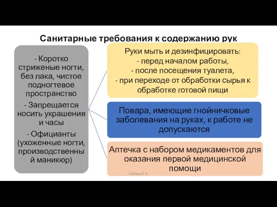 Санитарные требования к содержанию рук Шубина Е.А.