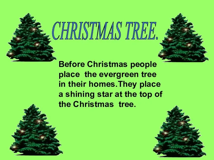 CHRISTMAS TREE. Before Christmas people place the evergreen tree in