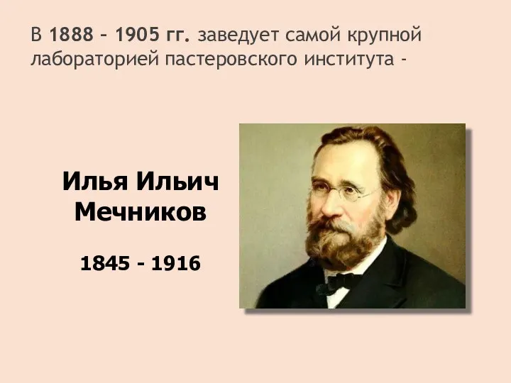 В 1888 – 1905 гг. заведует самой крупной лабораторией пастеровского института - Илья