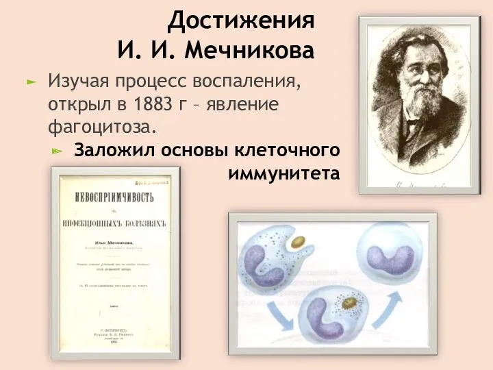 Достижения И. И. Мечникова Изучая процесс воспаления, открыл в 1883 г – явление