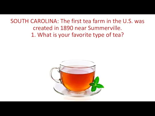 SOUTH CAROLINA: The first tea farm in the U.S. was