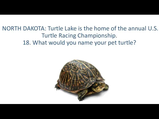NORTH DAKOTA: Turtle Lake is the home of the annual