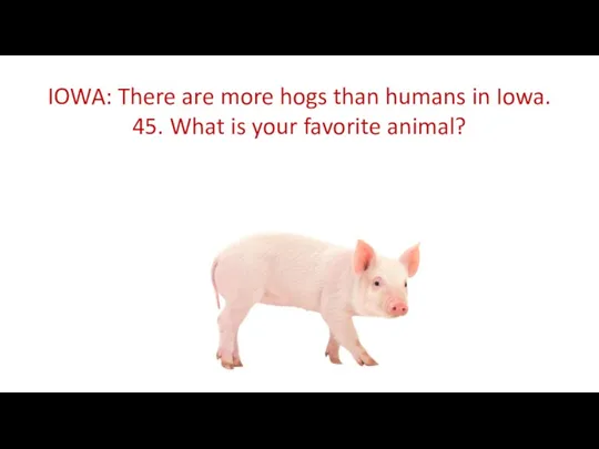 IOWA: There are more hogs than humans in Iowa. 45. What is your favorite animal?