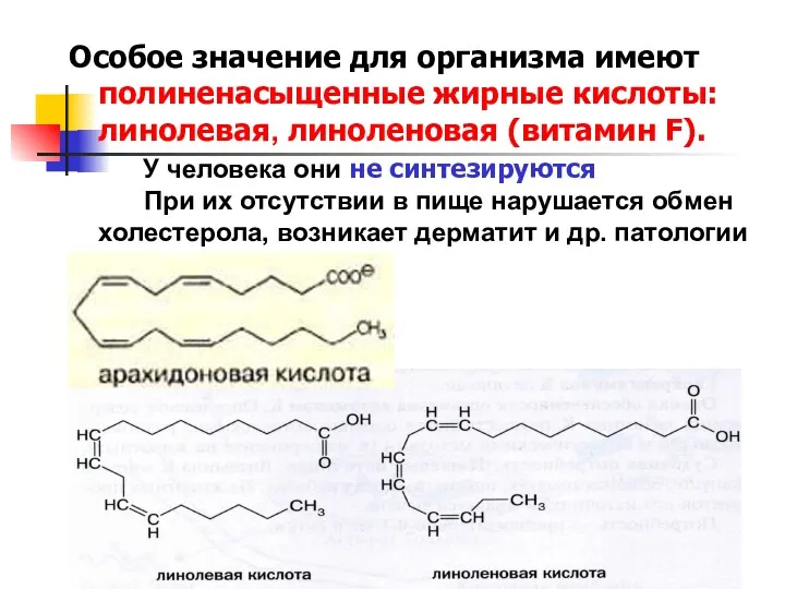 Особое значение для организма имеют полиненасыщенные жирные кислоты: линолевая, линоленовая