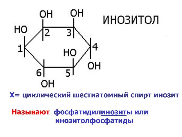 Х= циклический шестиатомный спирт инозит Называют фосфатидилинозиты или инозитолфосфатиды