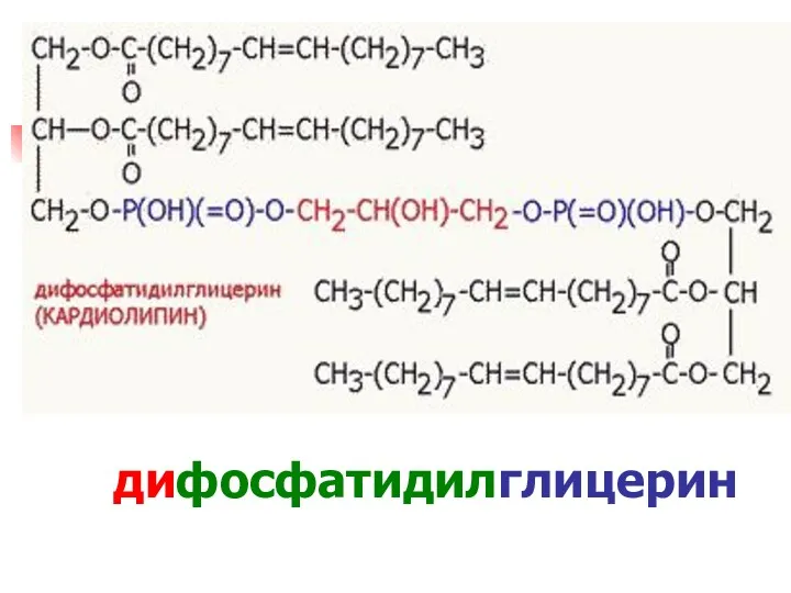 дифосфатидилглицерин