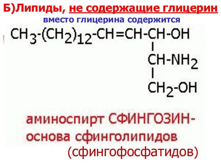 Б)Липиды, не содержащие глицерин вместо глицерина содержится (сфингофосфатидов)