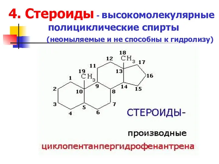 4. Стероиды - высокомолекулярные полициклические спирты (неомыляемые и не способны к гидролизу)