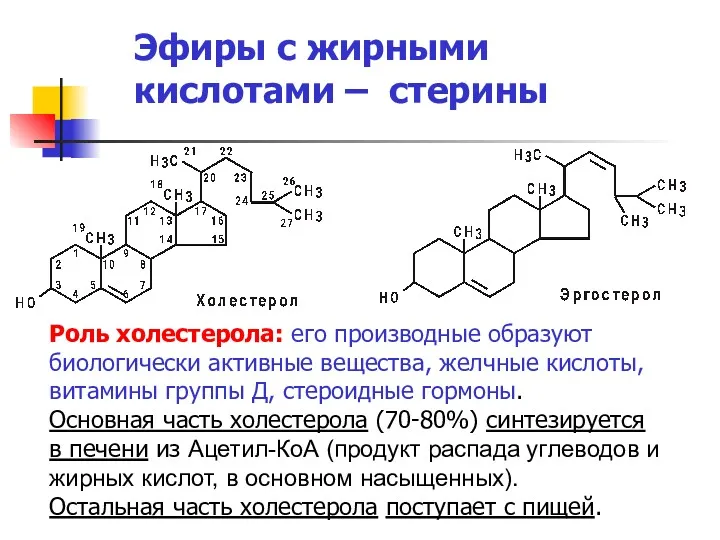 Эфиры с жирными кислотами – стерины Роль холестерола: его производные