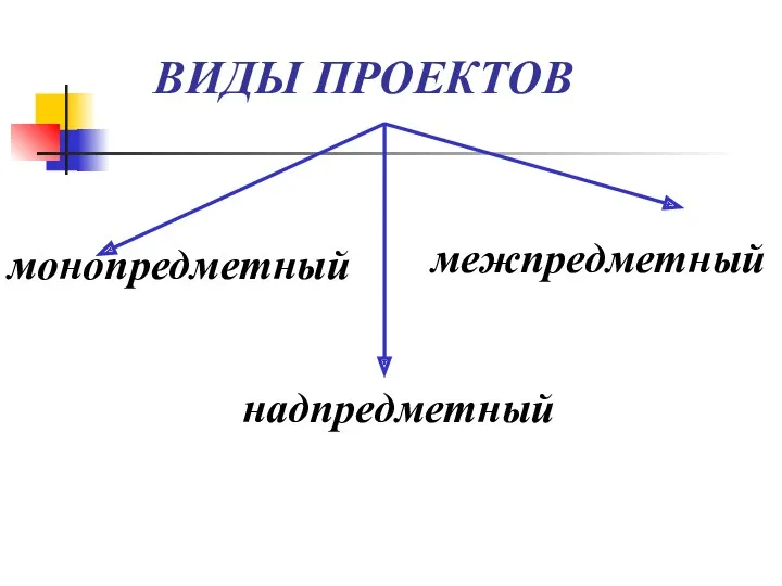 ВИДЫ ПРОЕКТОВ монопредметный межпредметный надпредметный