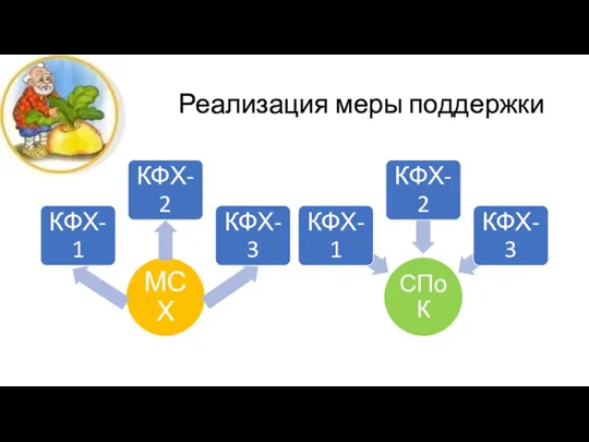 Реализация меры поддержки