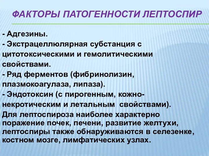 ФАКТОРЫ ПАТОГЕННОСТИ ЛЕПТОСПИР - Адгезины. - Экстрацеллюлярная субстанция с цитотоксическими