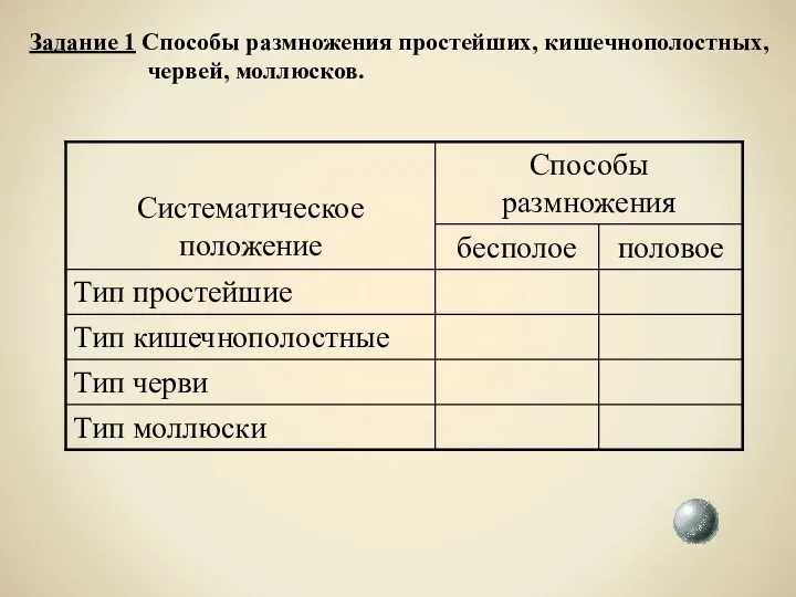 Задание 1 Способы размножения простейших, кишечнополостных, червей, моллюсков.