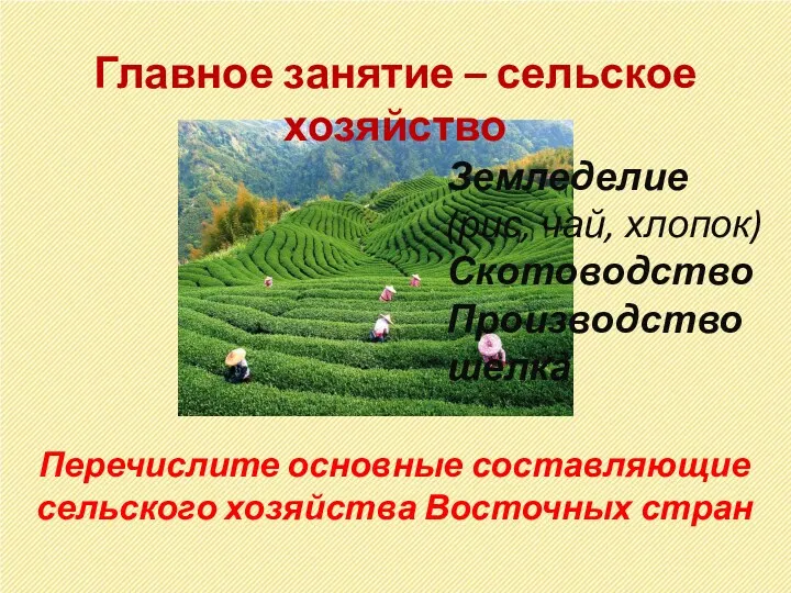 Главное занятие – сельское хозяйство Земледелие (рис, чай, хлопок) Скотоводство Производство шелка Перечислите