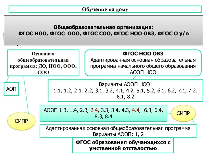 Обучение на дому Основная общеобразовательная программа: ДО, НОО, ООО, СОО