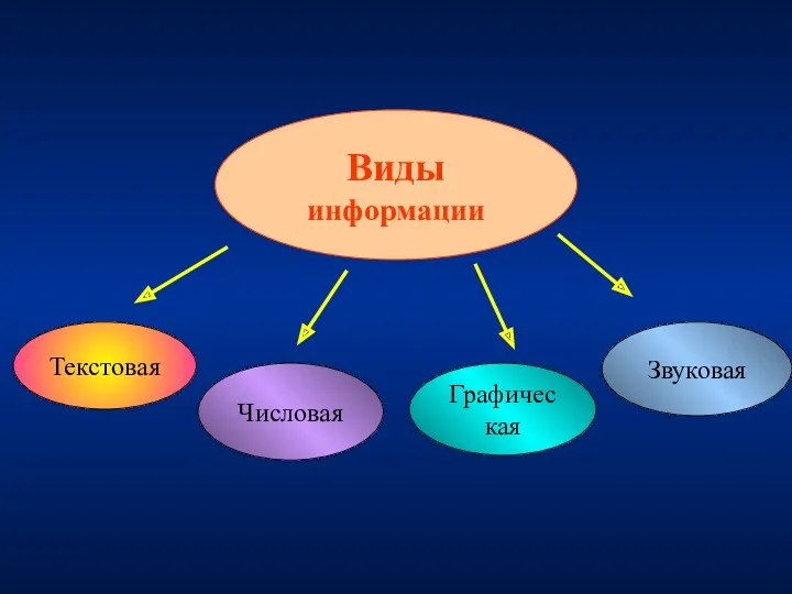 Виды информации Текстовая Числовая Графическая Звуковая