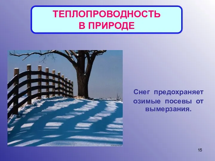 ТЕПЛОПРОВОДНОСТЬ В ПРИРОДЕ Снег предохраняет озимые посевы от вымерзания.