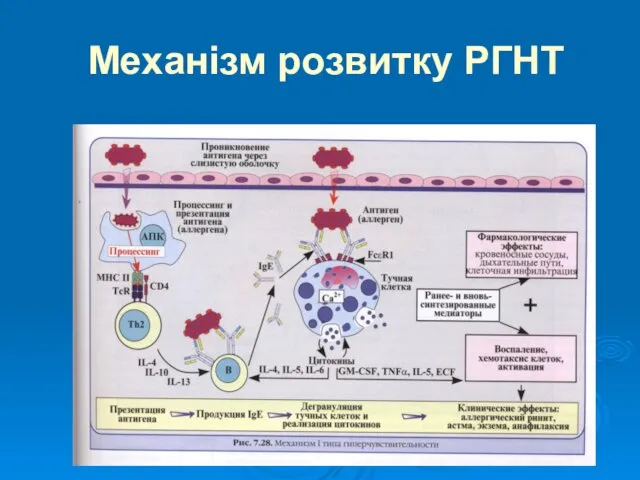 Механізм розвитку РГНТ