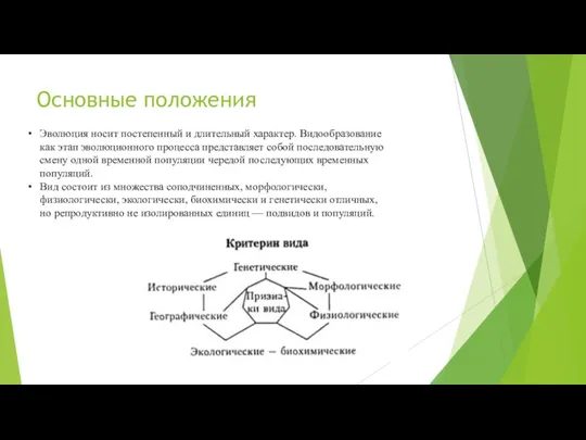 Основные положения Эволюция носит постепенный и длительный характер. Видообразование как