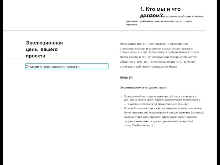 1. Кто мы и что делаем? Краткое описание проекта, проблема