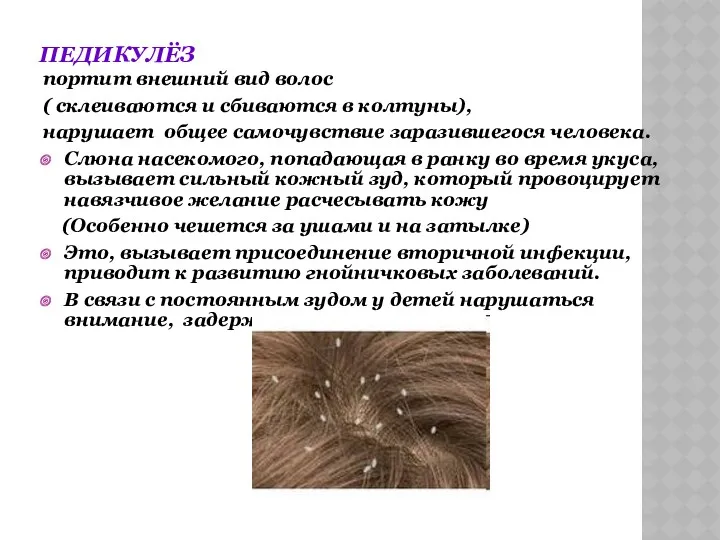ПЕДИКУЛЁЗ портит внешний вид волос ( склеиваются и сбиваются в колтуны), нарушает общее