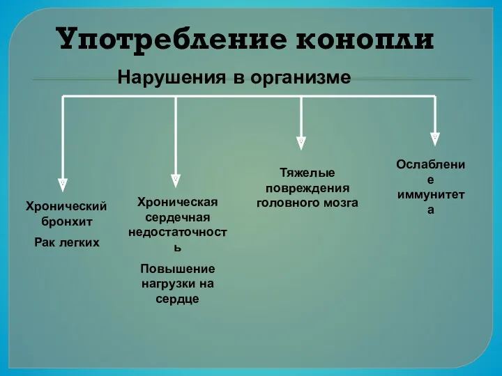 Употребление конопли Хронический бронхит Рак легких Хроническая сердечная недостаточность Повышение