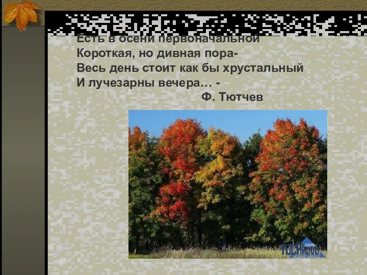 Есть в осени первоначальной Короткая, но дивная пора- Весь день