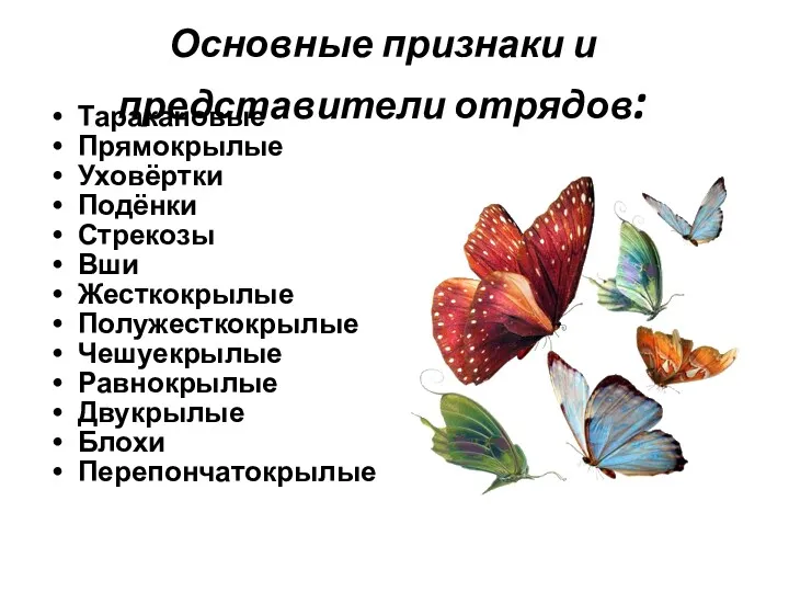 Основные признаки и представители отрядов: Таракановые Прямокрылые Уховёртки Подёнки Стрекозы